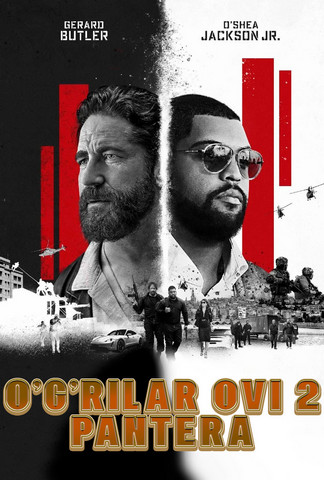 O'g'rilar ovi 2: Pantera