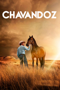 Chavandoz
